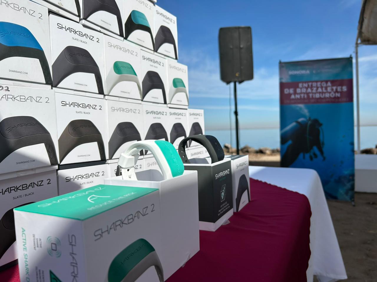 Respalda Gobernador Durazo pesca segura en Huatabampo: Celida López